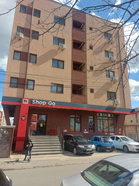 Berceni, Dimitrie Leonida Metrou